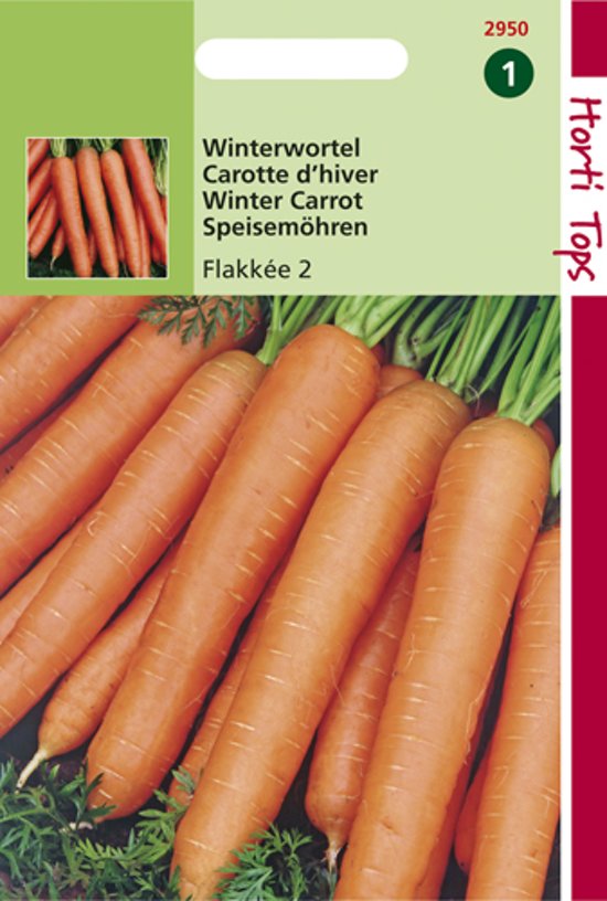 Carrot Flakkese 2 (Daucus) 6500 seeds